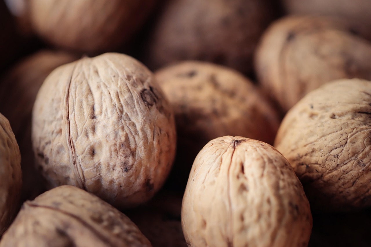 快代理ip实名账号：实名制度与网络治理的关系和作用