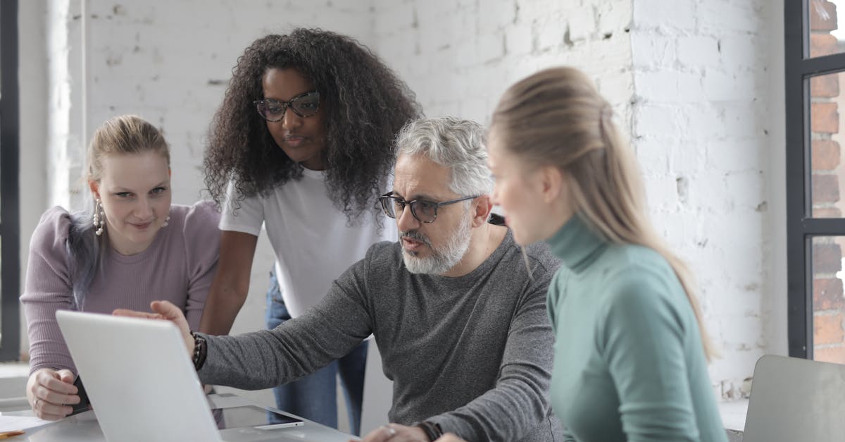 罗密欧2号（15支）（5盒）：货运代理公司注册代理流程